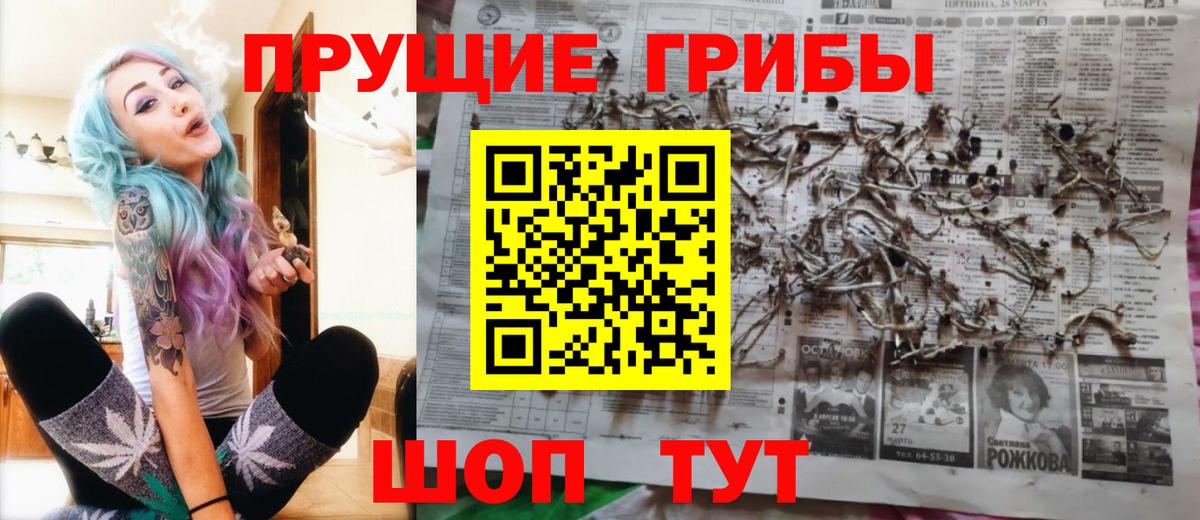Галлюциногенные грибы прущие грибы Томск